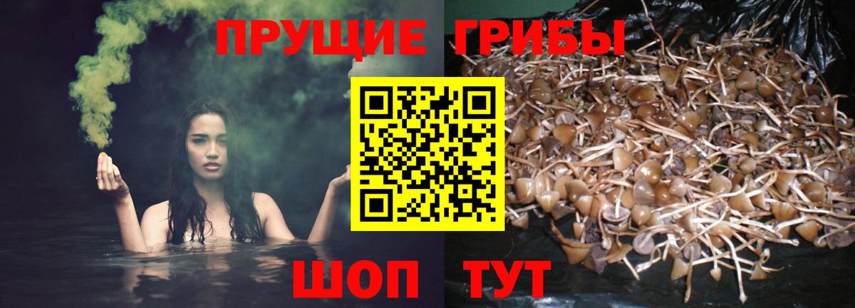 Галлюциногенные грибы ЛСД Богородск