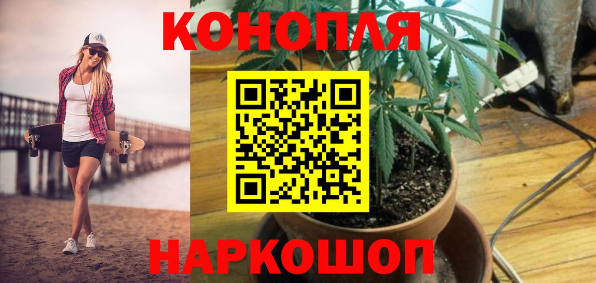 Богородск  Шишки марихуана семена  Вход с VPN  Шишки марихуана THC 21%  Шишки марихуана гибрид 
